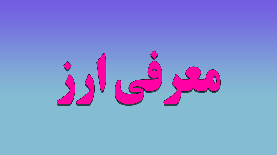 معرفی لئو 